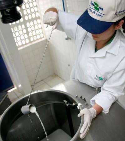 Embrapa lança curso EAD sobre produção de leite com qualidade