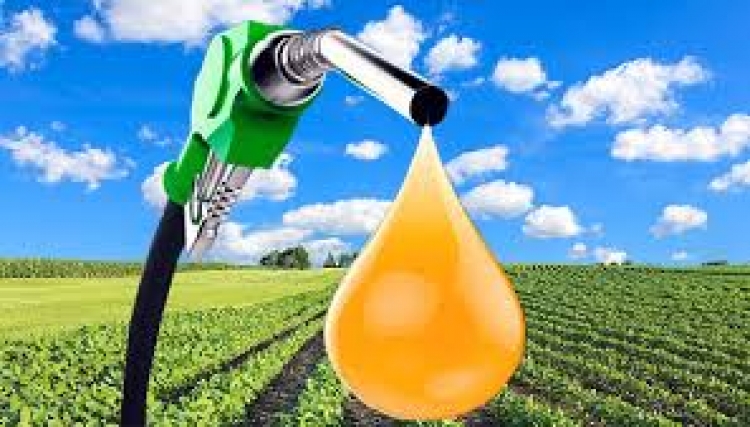 Bolívia autoriza biotecnologia para produzir biodiesel