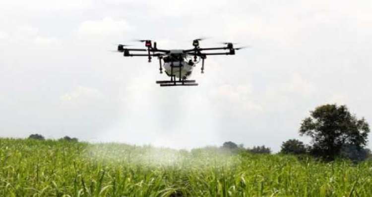 Uso de drones nas lavouras será regulamentado pelo Mapa
