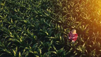 O futuro da agricultura é tema de debate