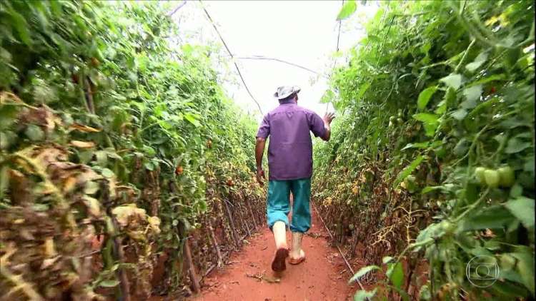 FPA pede retirada de trabalhadores rurais da reforma da Previdência