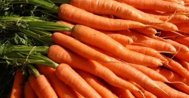 Estudo sobre cenoura busca entender salinidade