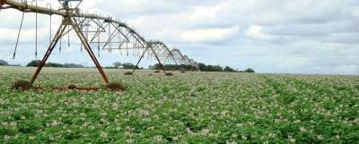 Você sabe de onde o Brasil importa fertilizantes?