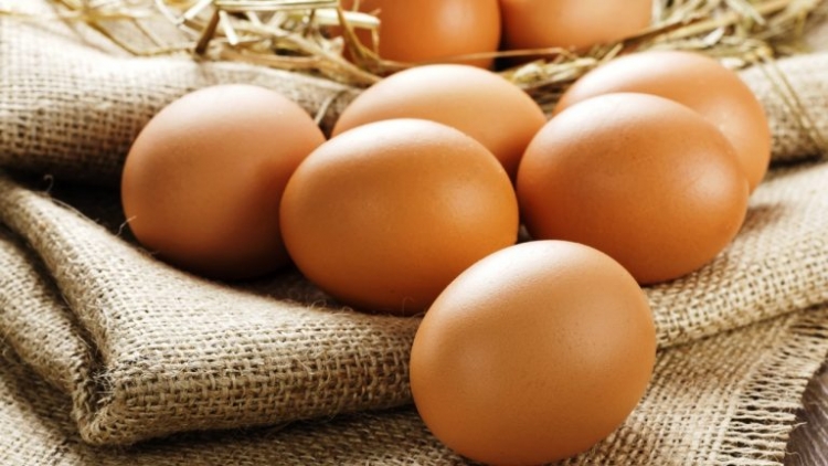 Produção de ovos de galinha sobe 8,6% e alcança recorde em 2018, diz IBGE