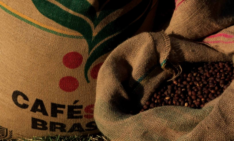 Café: saca campeã da BSCA é negociada por recorde de US$ 18,9 mil