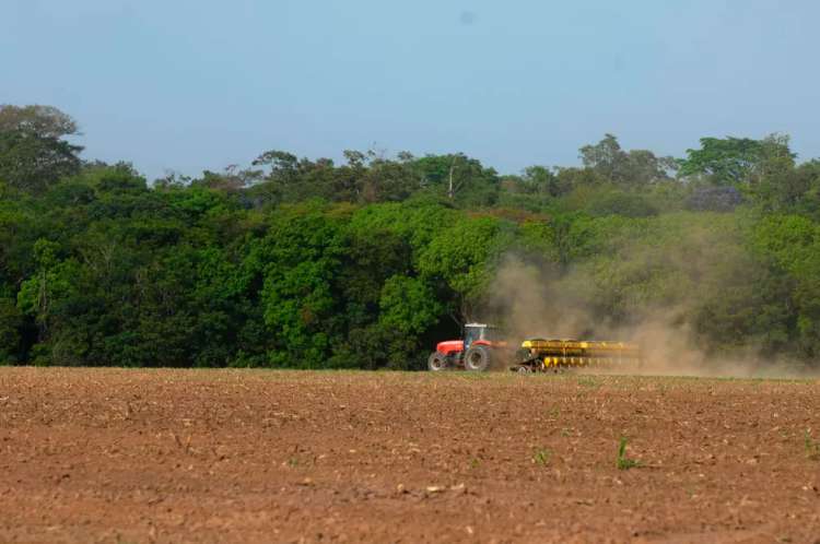 Plantio de soja em Mato Grosso — Foto: Divulgação 