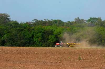 Plantio de soja em Mato Grosso — Foto: Divulgação 