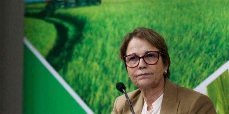 Ministra da Agricultura responde críticas sobre liberação de agrotóxicos: &#039;inadmissível, inverdade&#039;