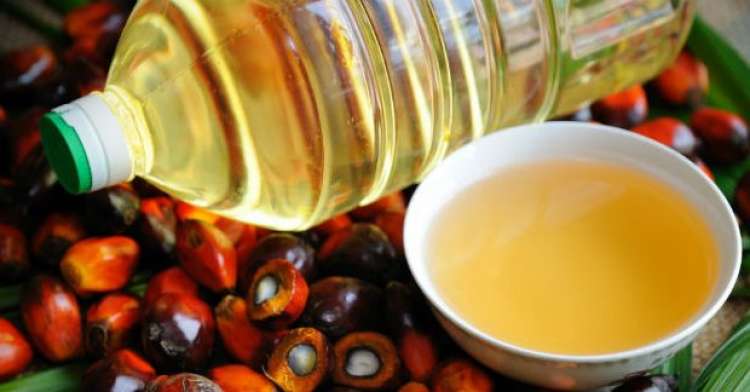 Produção de óleo de palma deve afetar a soja