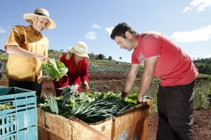 Governo publica lista de produtos da agricultura familiar com bônus em abril