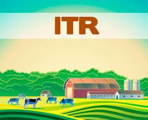 Já está aberto o prazo para declaração do ITR