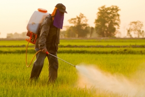 Evidências sobre &#039;carcinogenicidade&#039; dos pesticidas diminuem