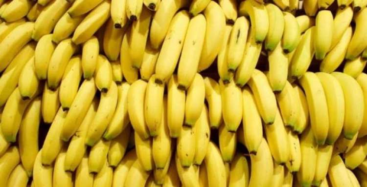 Exportações de banana á UE aumentam expressivamente