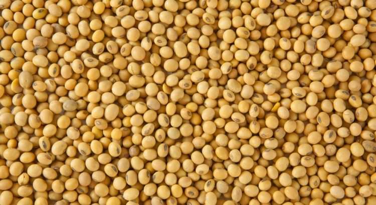 Relatório do USDA traz números positivos para a soja a médio e longo prazos, ao indicar queda na produção sem perdas na demanda