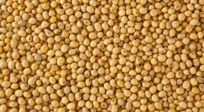 Relatório do USDA traz números positivos para a soja a médio e longo prazos, ao indicar queda na produção sem perdas na demanda