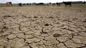Alemanha cria mecanismo de alerta de seca