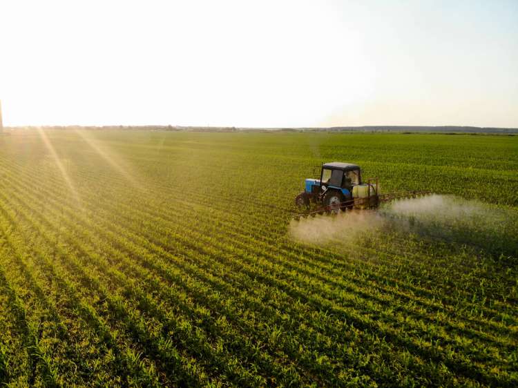 Ministério da Agricultura apresenta ações para ampliar financiamento privado do agro
