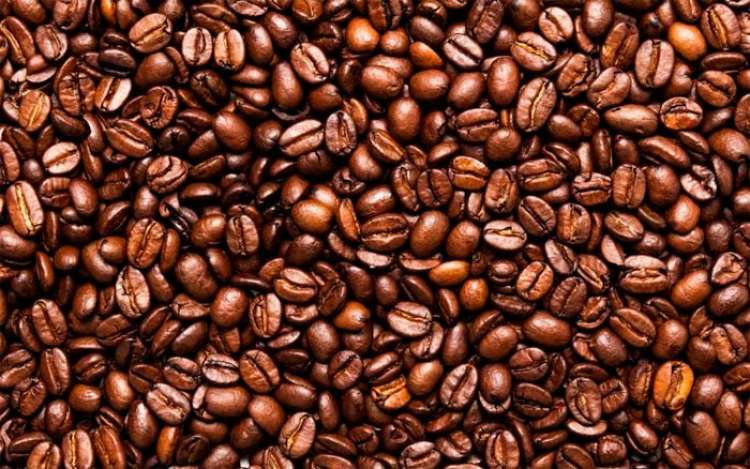 Sua produção de café é sustentável?