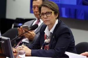 Novo Plano Safra será anunciado dia 12 de junho, sem cortes, diz ministra Teresa Cristina, da Agricultura