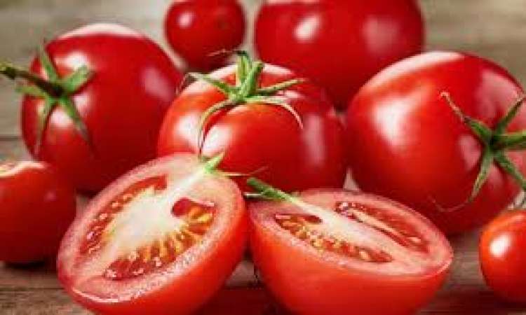 Menor oferta eleva o preço do tomate do rasteiro para a mesa em Irecê (BA)
