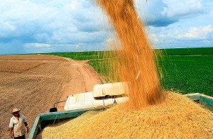 Valor da Produção Agropecuária é de R$ 578,2 bilhões
