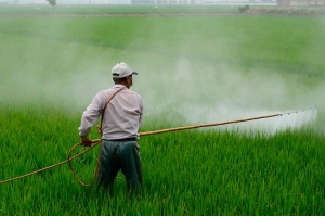 FPA defende mais incentivo para pesquisa de produção em larga escala sem pesticidas