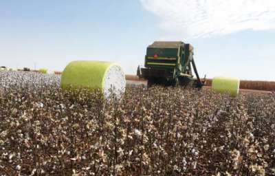 Colheitadeiras de algodão esgotam nas fornecedoras do Brasil para 2019