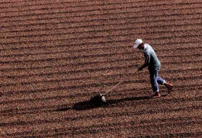 Agronegócio quer mudanças nas normas trabalhistas e governo promete revisão