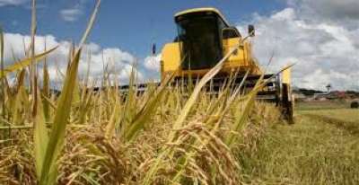 Governo quer que preço mínimo para produto agrícola pare de passar pelo CMN