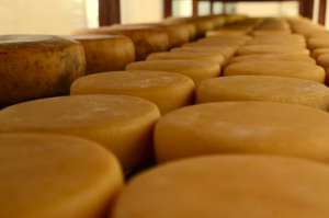 Epamig lança manual sobre fabricação de queijo Minas artesanal