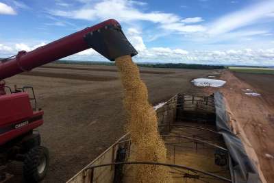 China testa balanço da soja do Brasil e Conab revisita números de safras