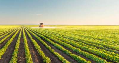 Produtores de Mato Grosso também podem requerer composição de dívidas decorrentes de crédito rural