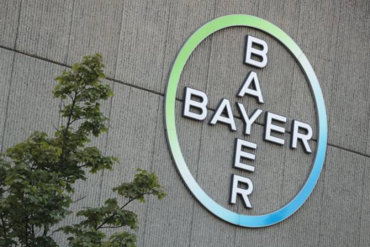 Bayer afunda na bolsa após justiça declarar herbicida cancerígeno