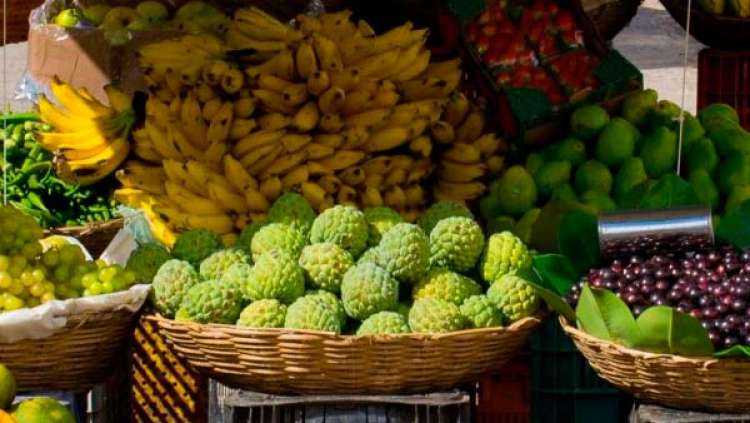 Goiás gera mais de 80 mil empregos com fruticultura