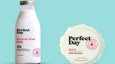 Startup arrecada US$ 140 milhões para produzir proteína do leite em laboratório