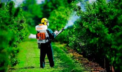 Segurança dos agricultores exige cursos de aplicação