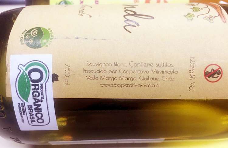 Chega ao Brasil 1ª carga de vinhos orgânicos após acordo com o Chile