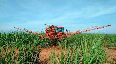 Novo fertilizante foliar fornece boro de forma diferenciada para o desenvolvimento de diversas culturas