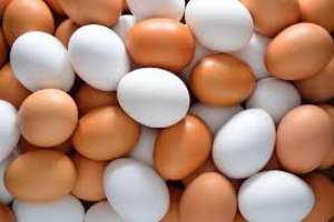 Ovos: redução anual de 3,5% no preço médio desta Quaresma