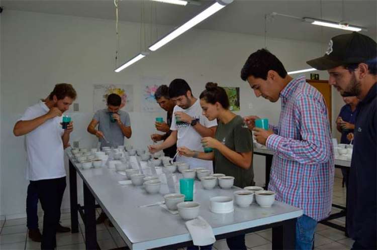 Projeto de cultivares de café no Cerrado Mineiro apresenta primeiros resultados