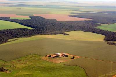 SNA defende venda de terras para estrangeiros