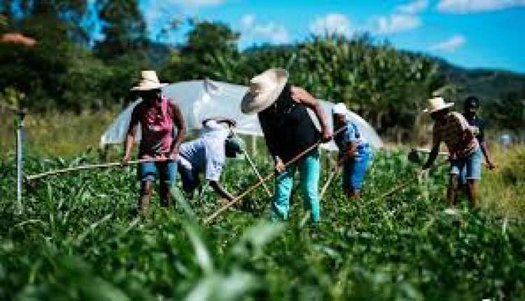Secretário do Mapa anuncia novo cadastro da agricultura familiar para junho