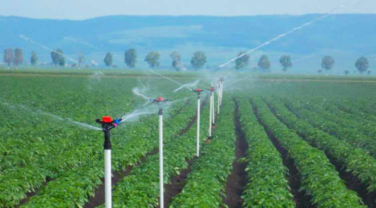Área irrigada aumenta no Brasil