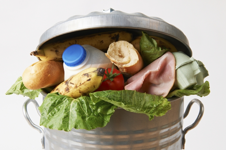 Os desperdícios por trás do alimento que vai para o lixo