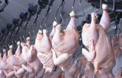 Conheça os três países que desafiam o Brasil nas exportações de frango