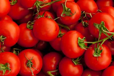 A evolução do mercado de tomate de mesa é tema de palestra em Goiânia