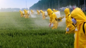 EUA considera limitar regulamentações de pesticidas
