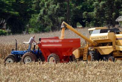 PIB do agro primeiro trimestre teve redução de 0,5%